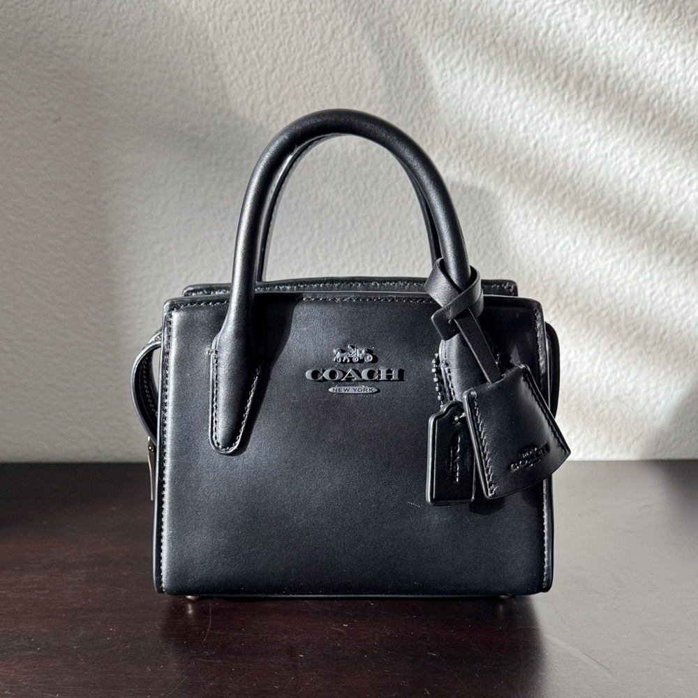 Coach Andrea Mini Carryall